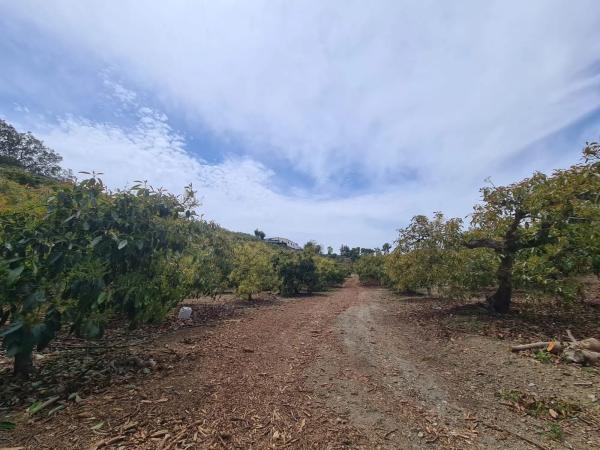 Terreno en Diseminado Cabrillas
