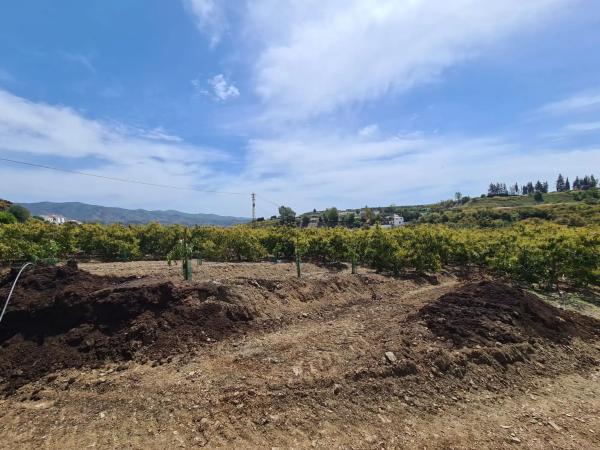 Terreno en Diseminado Cabrillas