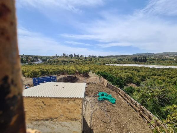 Terreno en Diseminado Cabrillas