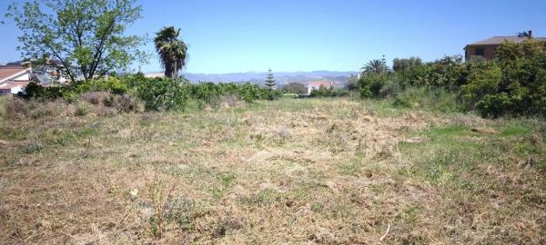 Terreno en El Romeral-Peñón de Zapata