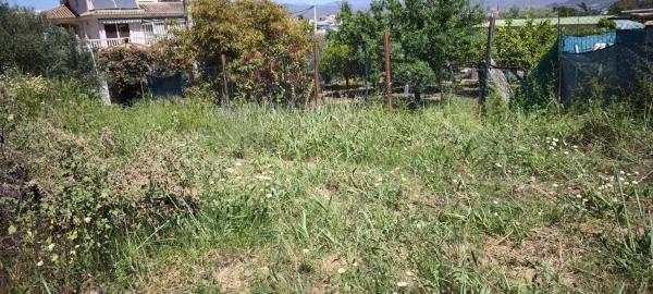 Terreno en El Romeral-Peñón de Zapata