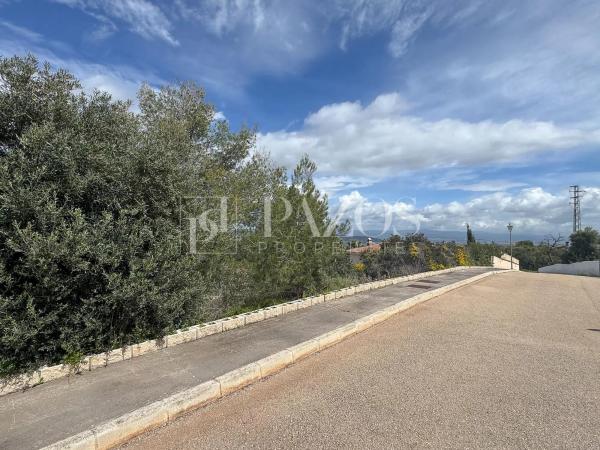 Terreno en camino de Ardalejos