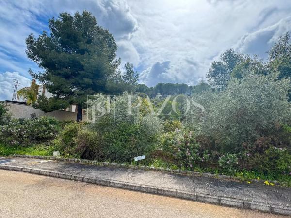 Terreno en camino de Ardalejos