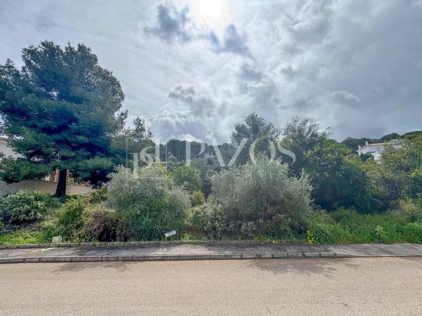 Terreno en camino de Ardalejos