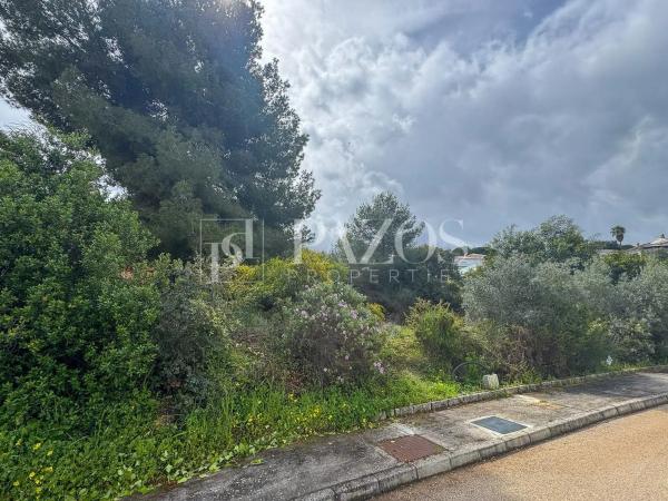 Terreno en camino de Ardalejos