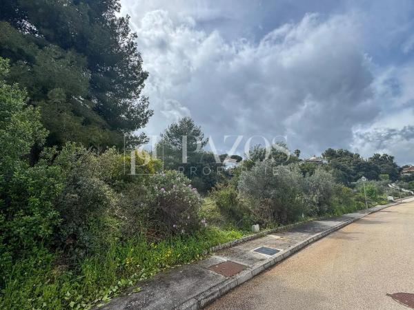 Terreno en camino de Ardalejos