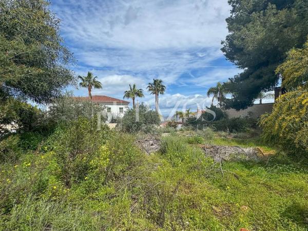 Terreno en camino de Ardalejos