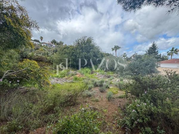Terreno en camino de Ardalejos