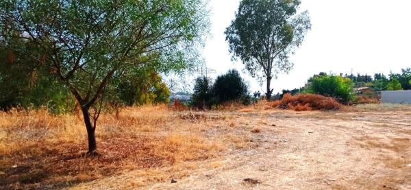 Terreno en Urbanizacion el Herrojo, 129