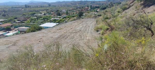 Terreno en Estación