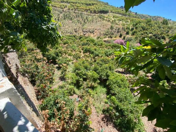 Terreno en cuesta de Vigo