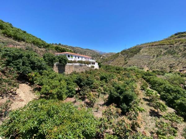 Terreno en cuesta de Vigo
