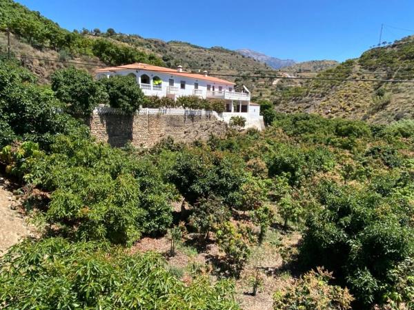 Terreno en cuesta de Vigo