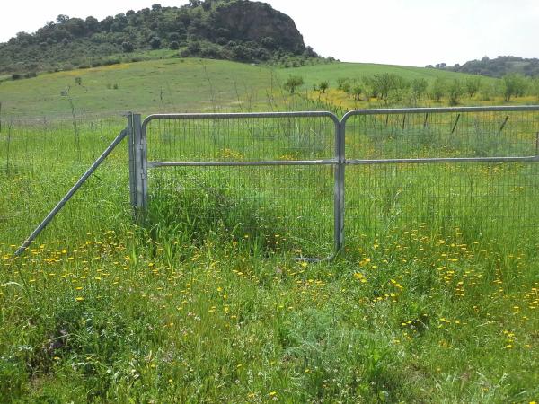 Terreno en camino pasallana s/n sinnmero