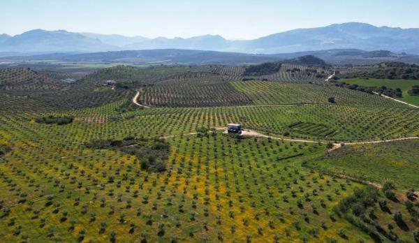 Terreno en Archidona