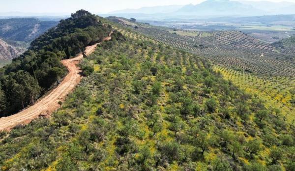 Terreno en Archidona