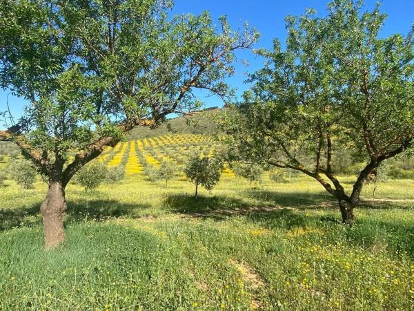 Terreno en Archidona