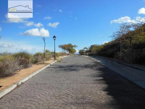 Terreno en Terreno Pp. 7