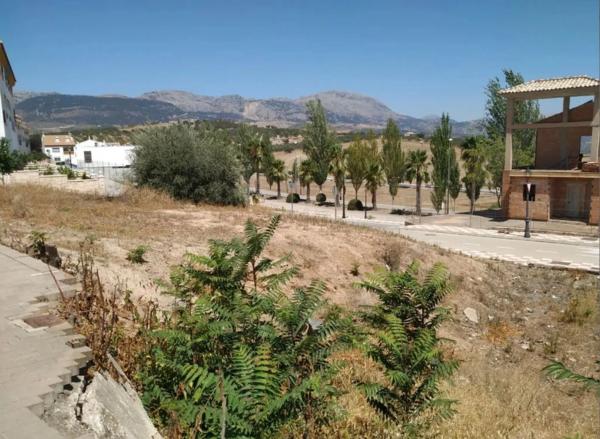 Terreno en calle Julio Romero de Torres, 25