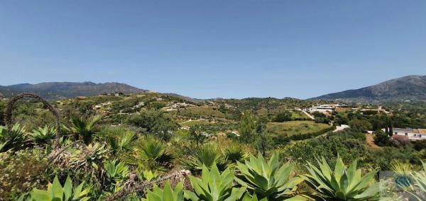 Terreno en camino Diseminado Entrerrios
