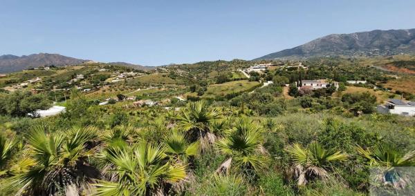Terreno en camino Diseminado Entrerrios