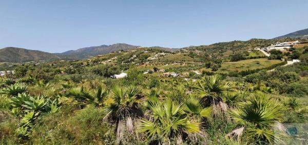 Terreno en camino Diseminado Entrerrios