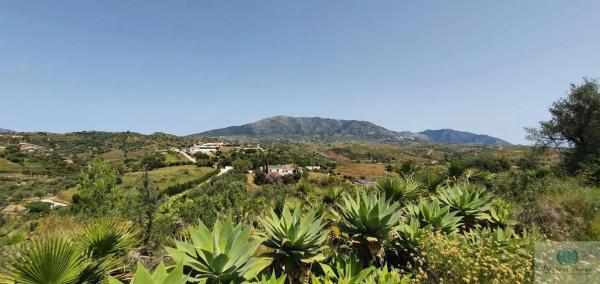 Terreno en camino Diseminado Entrerrios