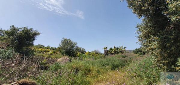 Terreno en camino Diseminado Entrerrios