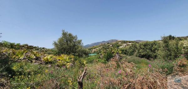 Terreno en camino Diseminado Entrerrios