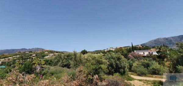 Terreno en camino Diseminado Entrerrios