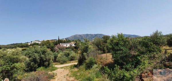 Terreno en camino Diseminado Entrerrios