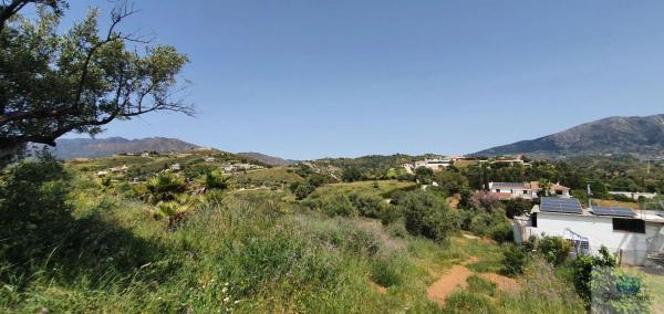 Terreno en camino Diseminado Entrerrios