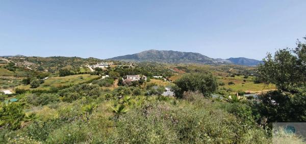 Terreno en camino Diseminado Entrerrios