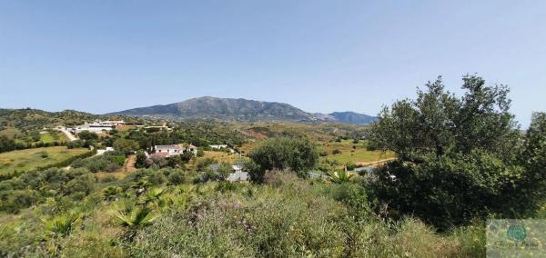 Terreno en camino Diseminado Entrerrios