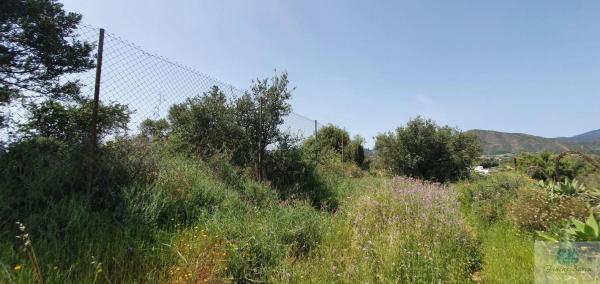 Terreno en camino Diseminado Entrerrios