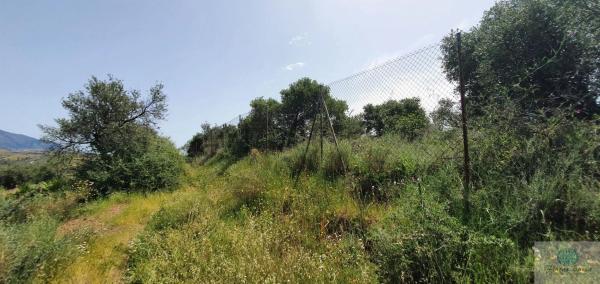 Terreno en camino Diseminado Entrerrios