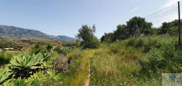 Terreno en camino Diseminado Entrerrios