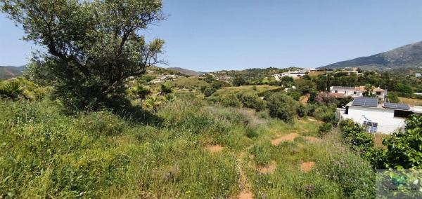 Terreno en camino Diseminado Entrerrios