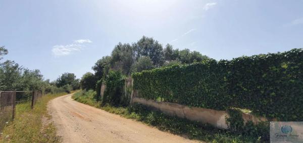 Terreno en camino Diseminado Entrerrios