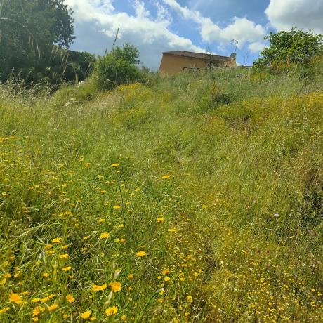 Terreno en santiago s/n