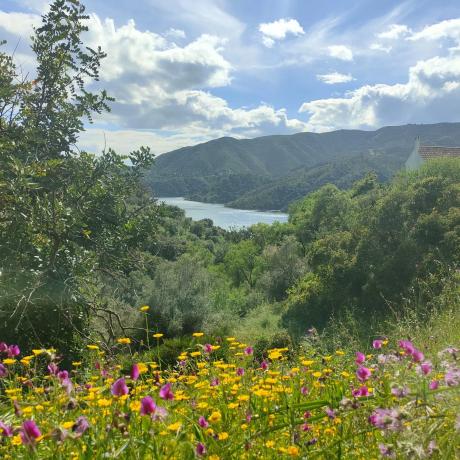 Terreno en santiago s/n