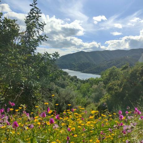 Terreno en santiago s/n