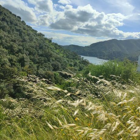 Terreno en santiago s/n