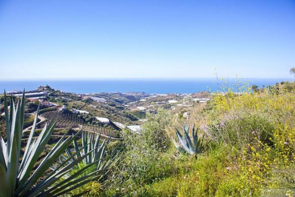 Terreno en Sayalonga