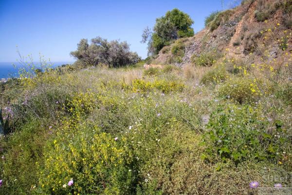 Terreno en Sayalonga