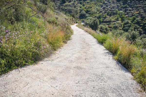 Terreno en Sayalonga