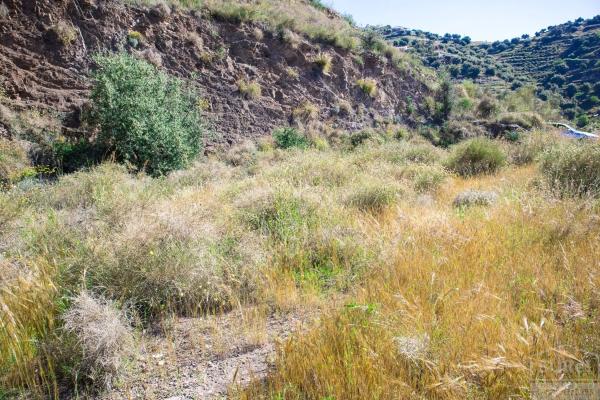 Terreno en Sayalonga