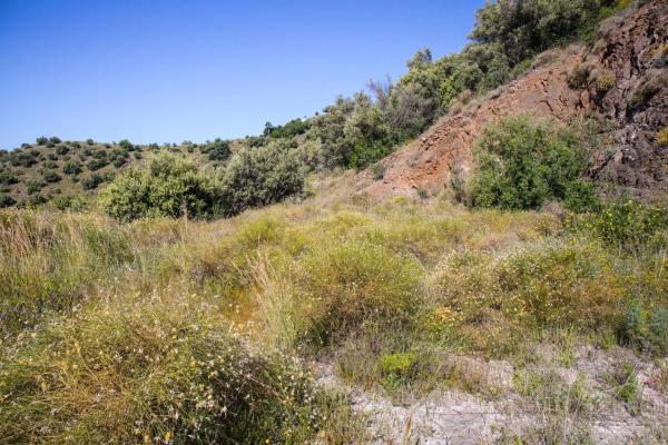 Terreno en Sayalonga