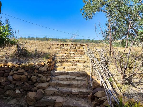 Terreno en camino Cementerio