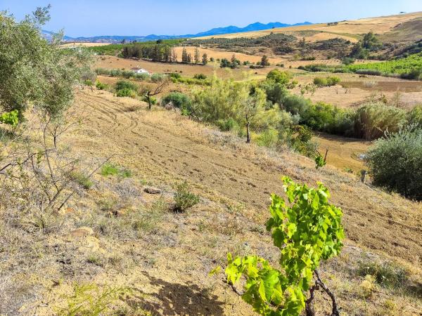 Terreno en camino Cementerio